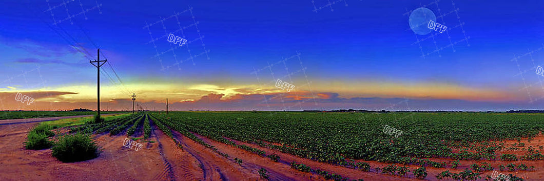 Wide Land 003-007  DIY 5D Diamond Painting