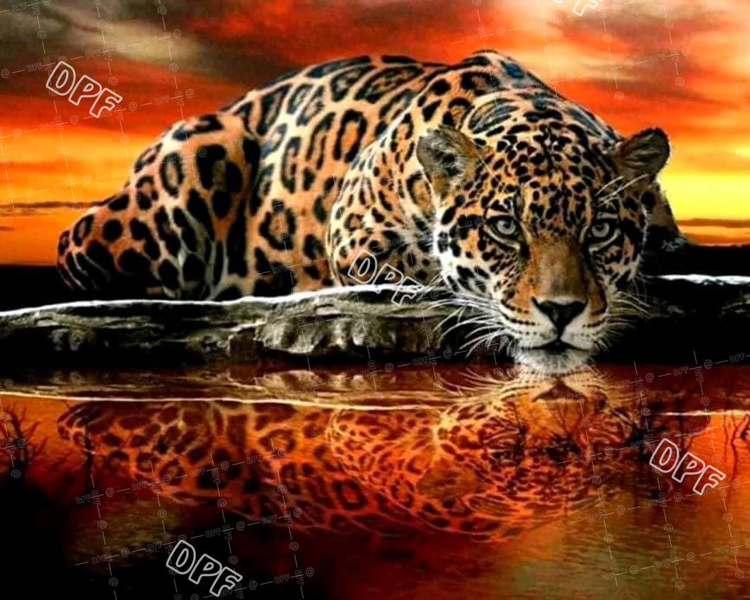 Predator 005-008 DIY 5D Diamond Painting