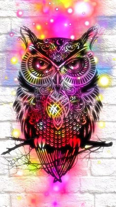 The Wise Owl 006-024  DIY 5D Diamond Painting