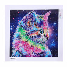 Load image into Gallery viewer, Partial Glam - DIY 5D Diamond Painting - dif. Variations
